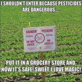 Finding Organic Inspiration: Part I Image